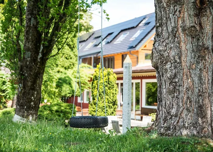 Seinz Wisdom - Bio-hotel Vegan-vegetarisch Hotel 4*